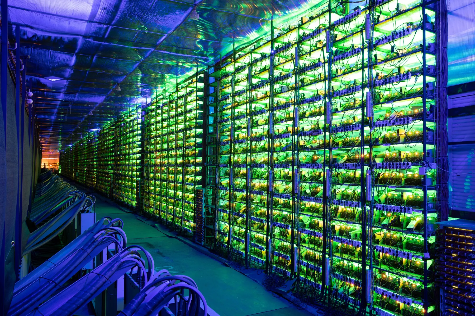 Large-scale cryptocurrency mining facility with rows of ASIC miners in a professional data center environment