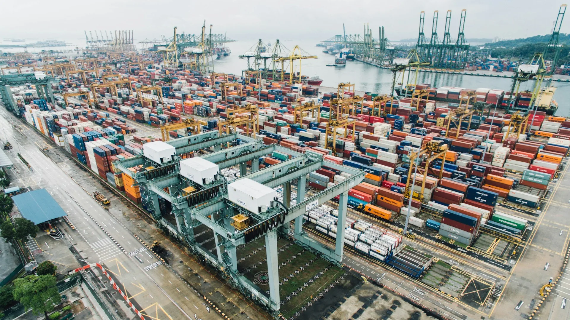 Sea Freight Shipping
